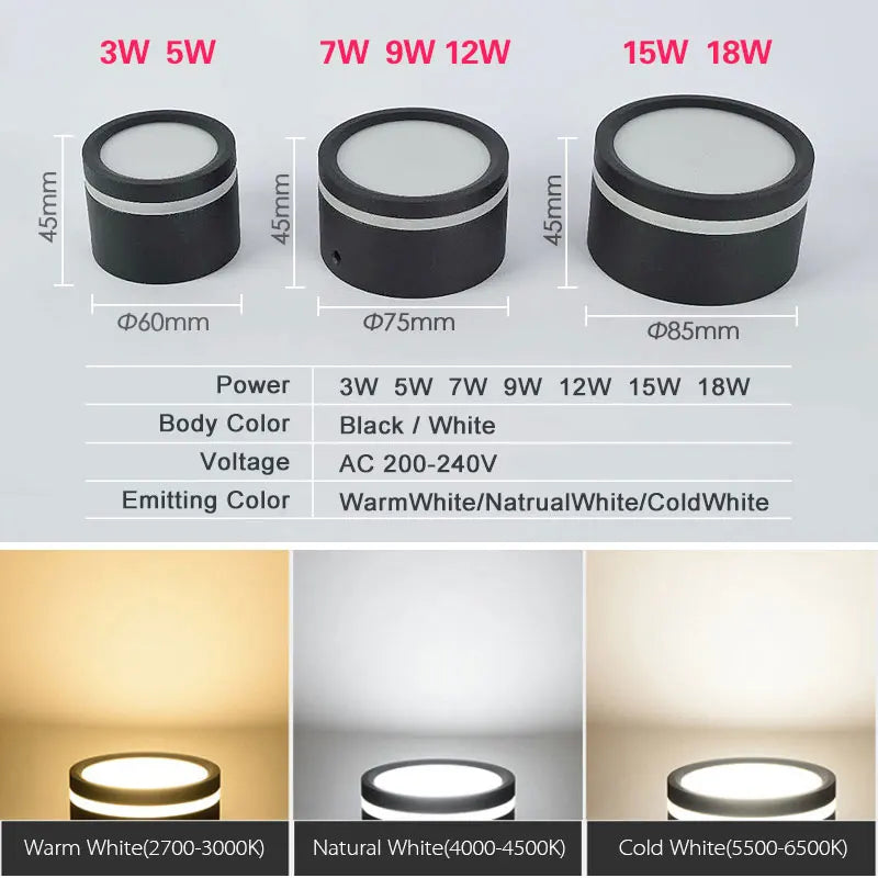 Mounted Downlight