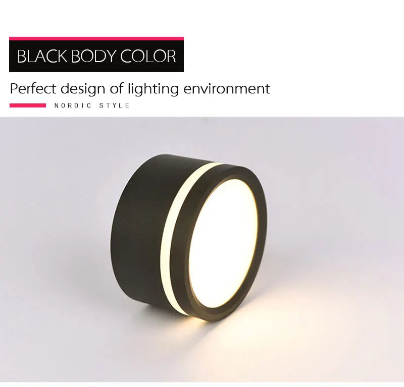 Mounted Downlight