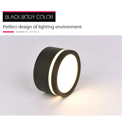 Mounted Downlight