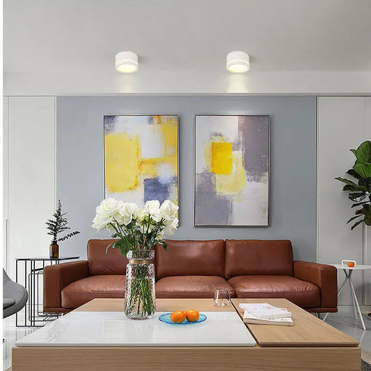 Mounted Downlight