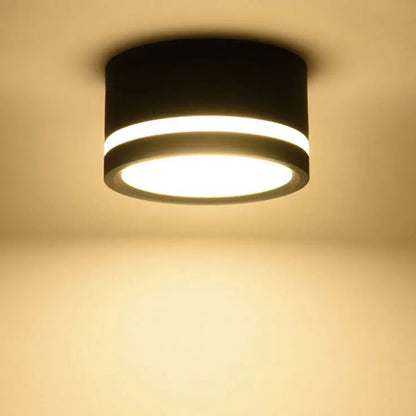 Mounted Downlight