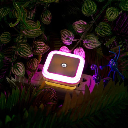 Lux - Night Light